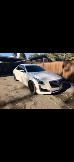 2019 Cadillac