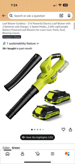 Leaf blower