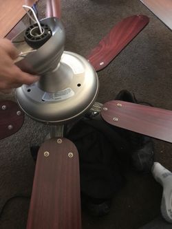 Ceiling fan with lights