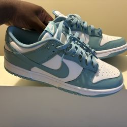 Size 10 Nike Dunks