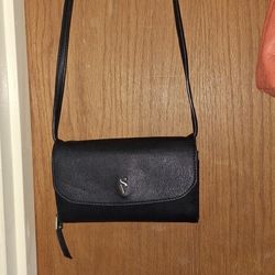 Sleek Blk Purse
