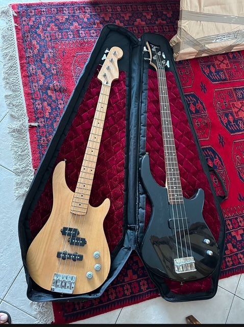 Quality guitar bag