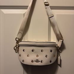 Coach Apple Fannie Pack