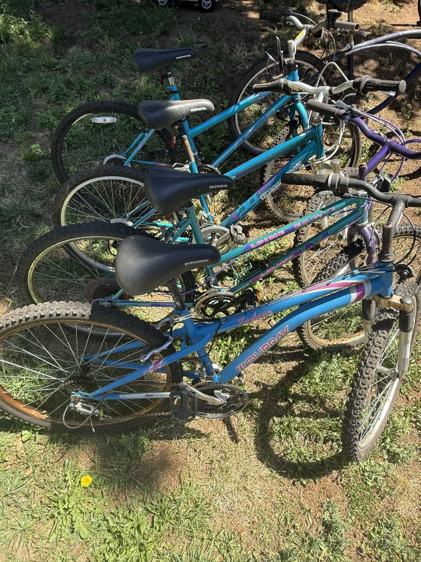 Ladies Mt. Bikes For Sale