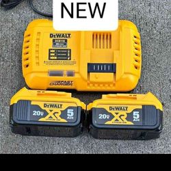 DeWalt New Rapid Charger More Two Batteries 5 Ah 