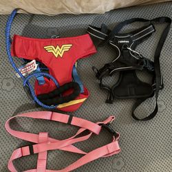 Large Dog Harness Set 