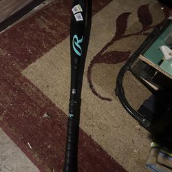 Usssa Rawlings Bat