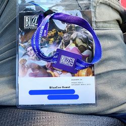 BlizzCon 2 Day Passes