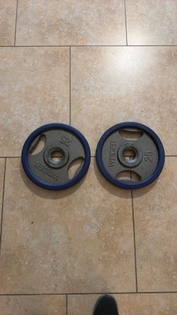 25lbs Weight Plates