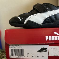 Puma 6c
