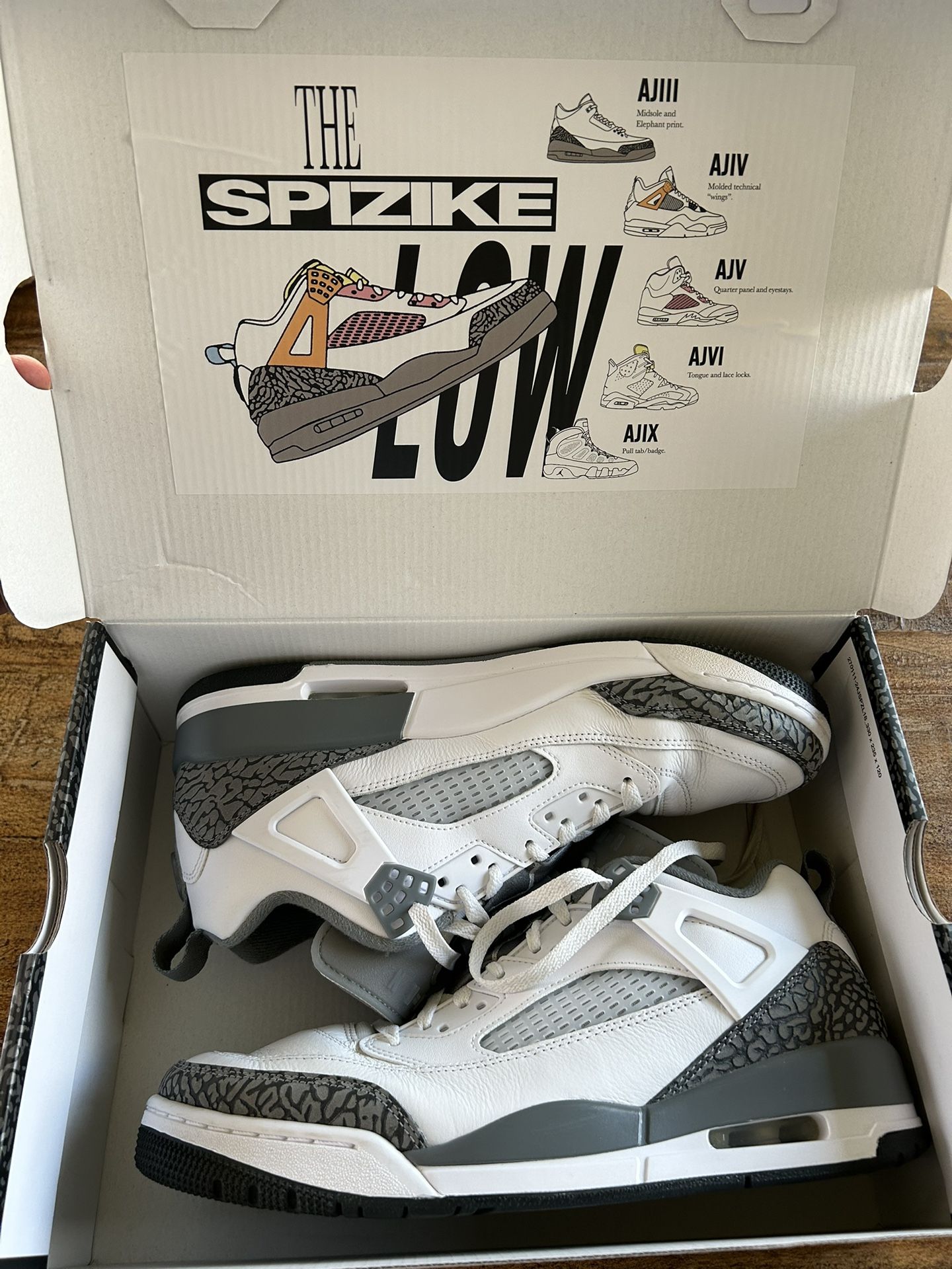 Jordan Spizike Low