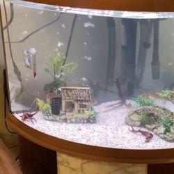 Corner Fish Tank