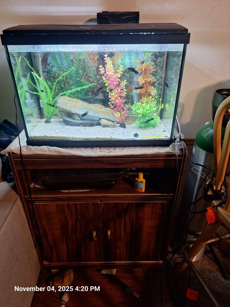  Fish Tank