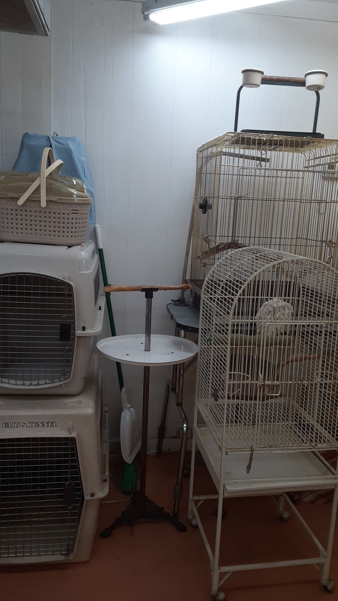 Bird cages and bird stands