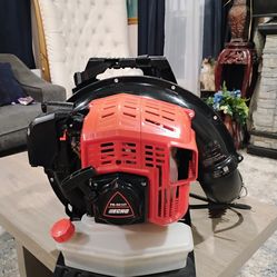 New echo blower $400