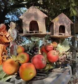 Bird houses with fruits