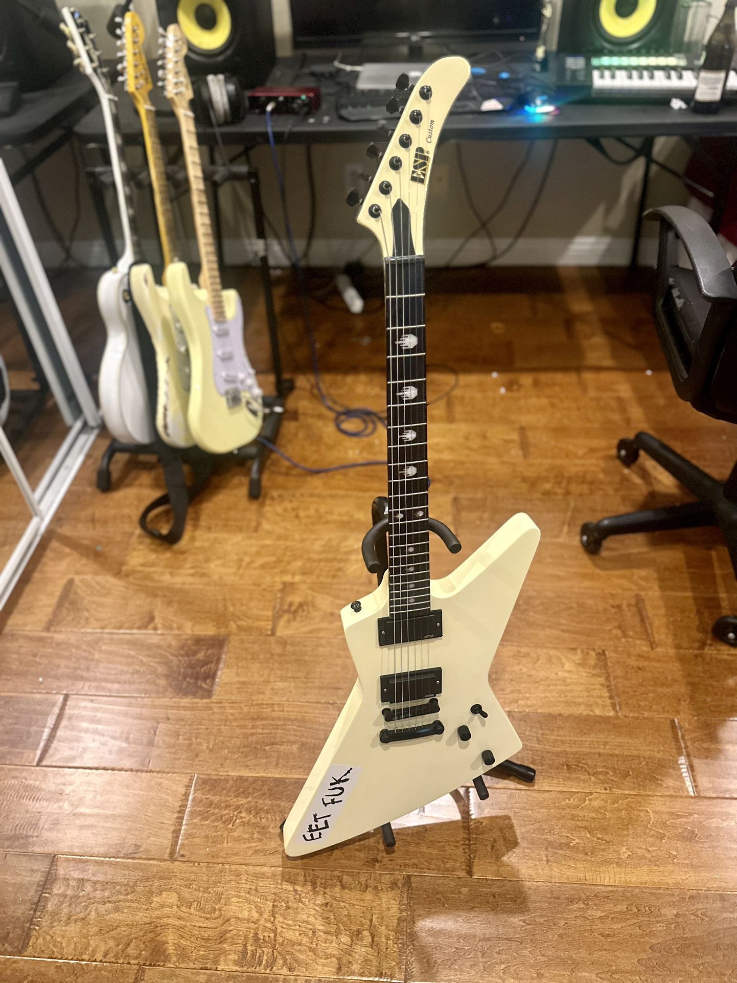 James Hetfield ESP MX220 Guitar ( Replica)