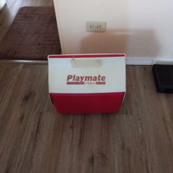 Playmate Igloo Cooler