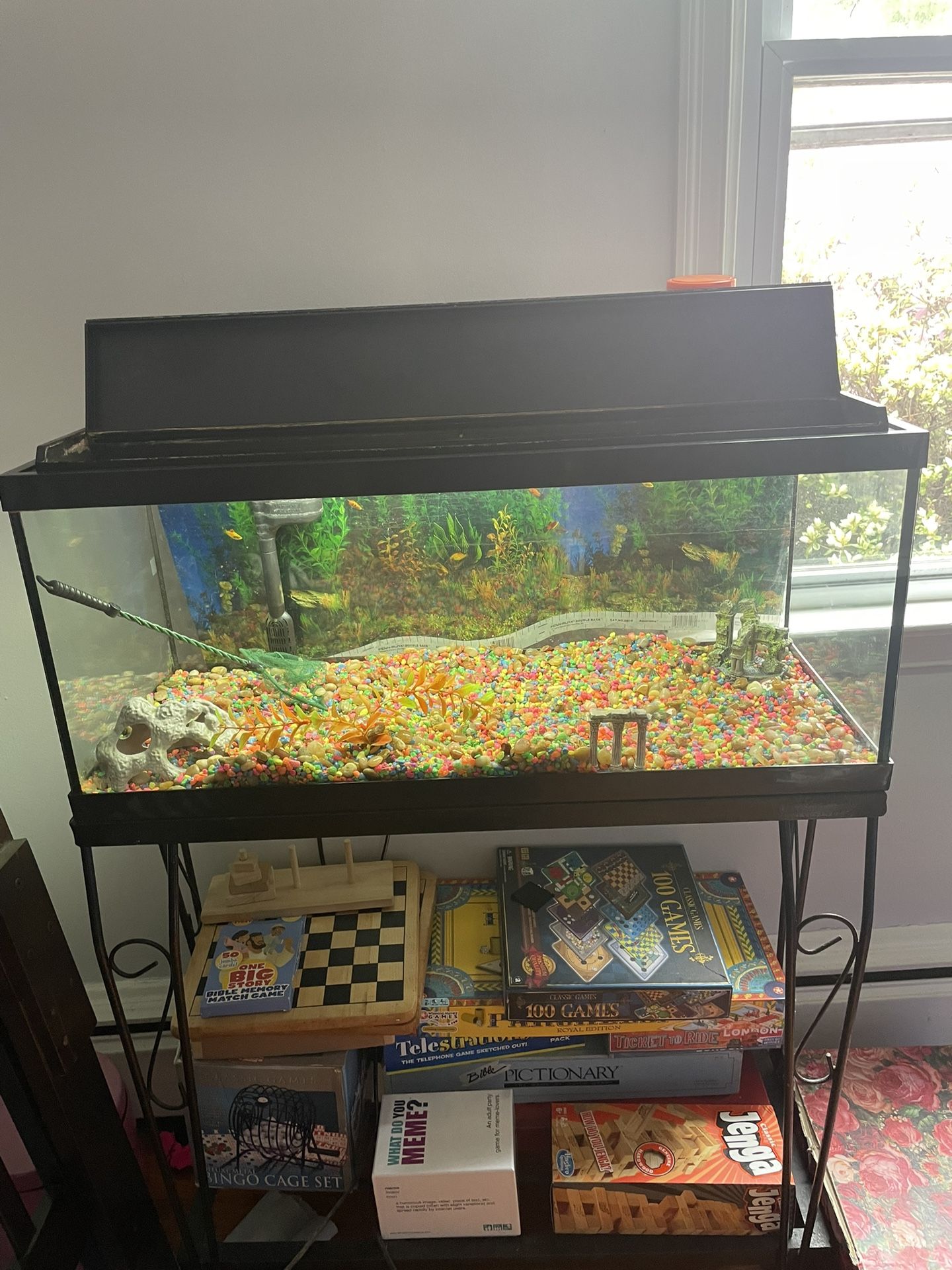 Fish tank And Metal Stand