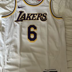 Los Angeles Lakers Lebron James Men's Nike Jersey Size L/48 White #6