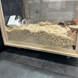 hamster Cage 