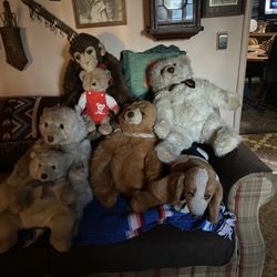 Avante Stuffed Animal Collection