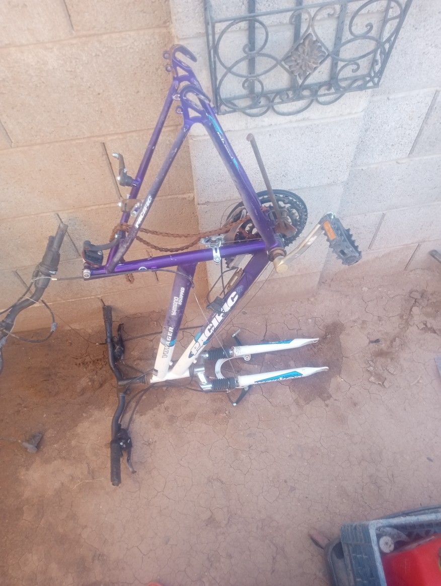 Pacific Voyager Bike Frame