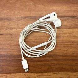 Apple Earbuds