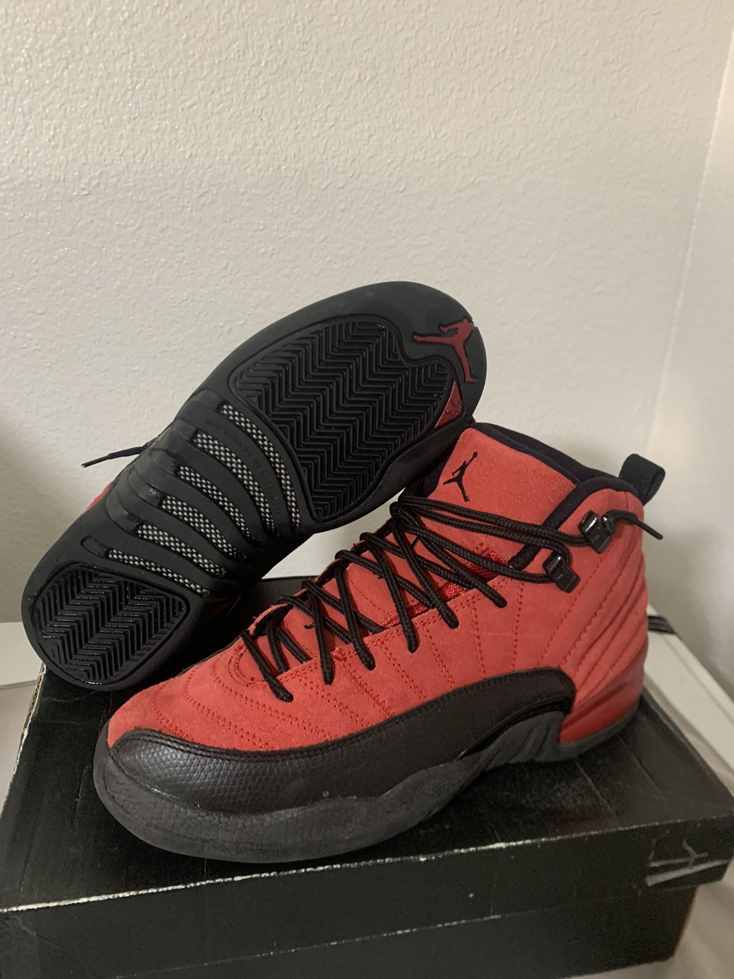 Air Jordan 12 Reverse Flu Game