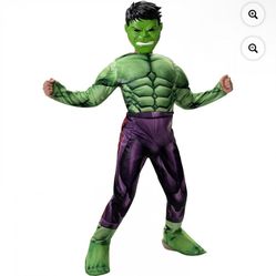 Hulk Boy Costume