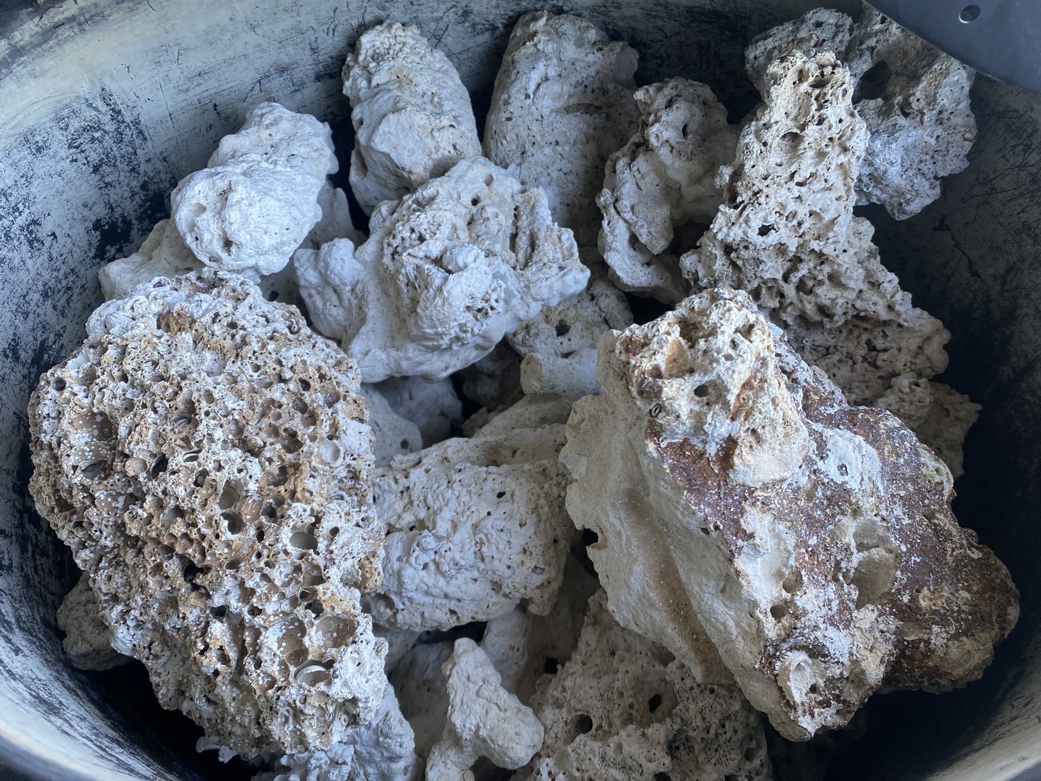 Salt Water Rocks