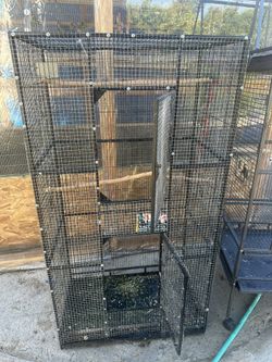 Cage For Bird Sale 50 $