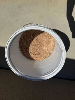Free bucket of old barley