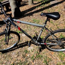 Roadmaster Mountain Bike 