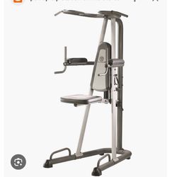 Gold’s Gym Pull Up Station