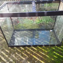 Fish Tank