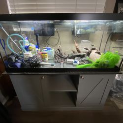 75 Gallon Fish Tank And Stand