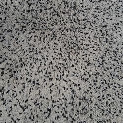 Black White Grey Carpet Shag Stlye