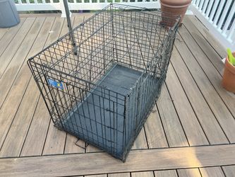 36 X 22 Dog Crate