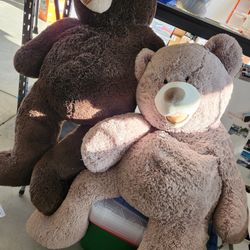 Giant Teddy bears 🧸 