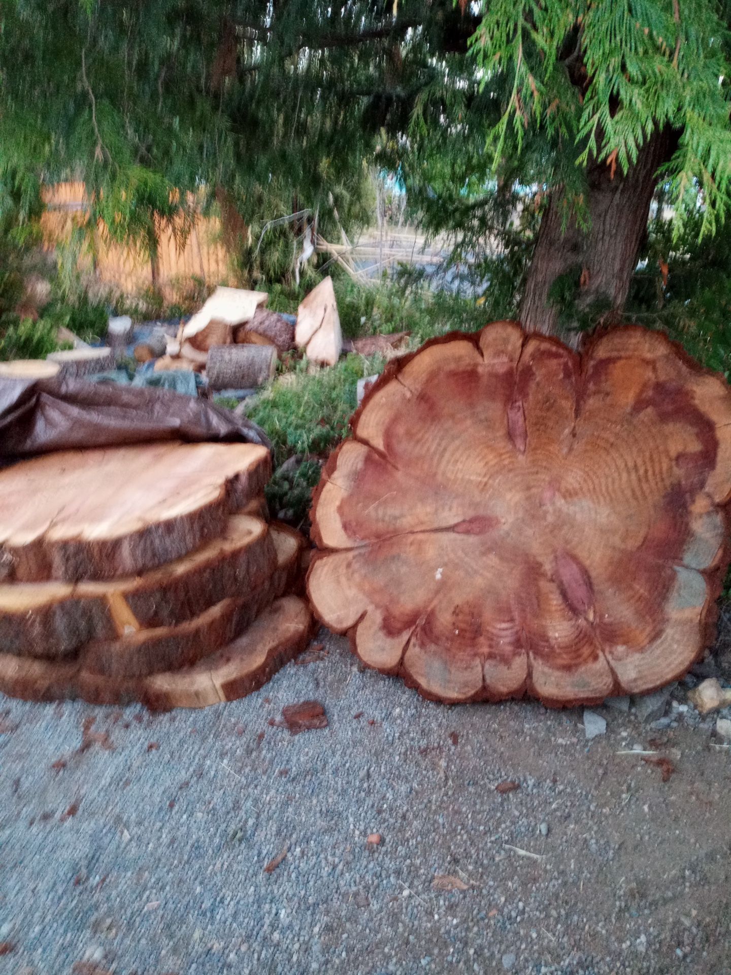 Big redwoods rounds,Dry 4years ! Live Edge .