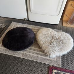 Cute pair of cat beds