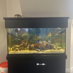 90 Gallon Salt Water Fishtank (Fish And Coral Included)