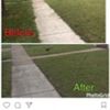 lawn care $20
