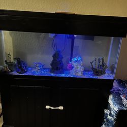 Fish Tank For Sale 600 Obo 