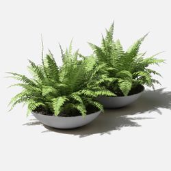 Set of 2 pure series bowl planter