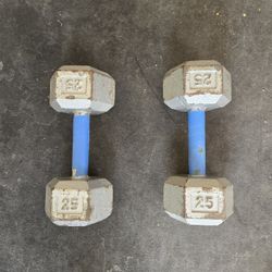 25lb Metal Hex Dumbbells 