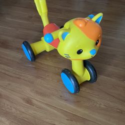 Baby Push Toy