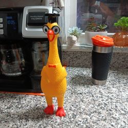 Rubber Chicken For Dogs