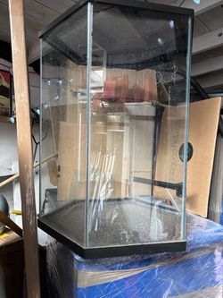 Small terrarium